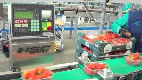 Checkweigher and grading line NEMESIS, Serie Z