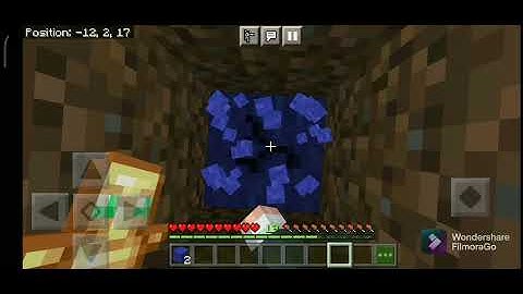 Will totem of undying save me in void