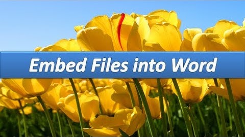 Microsoft Word: Embedding files in your document.  AOTraining.net