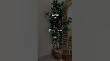 أَفَمَن شَرَحَ اللَّهُ صَدْرَهُ لِلْإِسْلَامِ _ ياسر الدوسري _ سورة الزمر