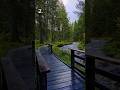✨ Which path would you take to clear your mind? #cozy #chill