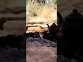 محمد ول اصوينع