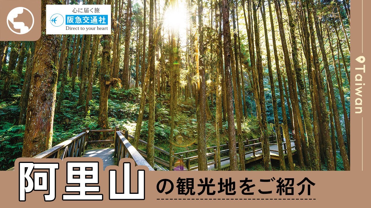 [台湾の観光地をご紹介]阿里山【阪急交通社 公式】