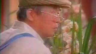 Dong-A Pharmaceutical Hanovac TV commercial