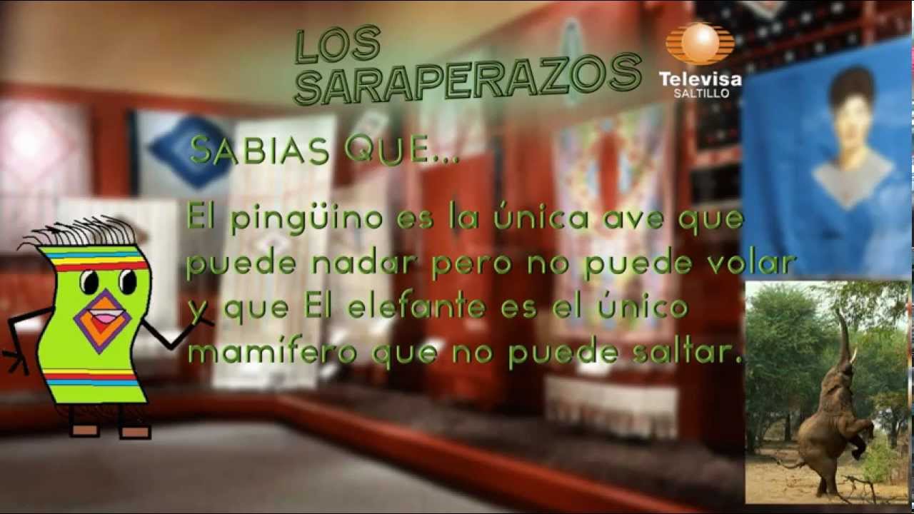 SABIAS QUE..? Los Saraperazos TELEVISA SALTILLO .1