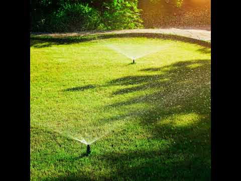Embrace the beige: Reimagining lawns amid Colorado’s historic drought (ENCORE EPISODE)