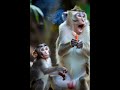 #marvel #beautiful #instagood #cute #cuteanimals #youtubeshorts #spiderman #viral #avengers