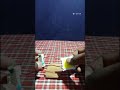 Simpal amezing LED project 👍👍👍👍👍👍