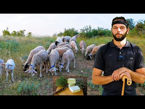 Βίντεο: Η κτηνοτροφία είναι επιβίωση ή εμπορικός;