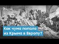 Как чума попала из Крыма в Европу | Крымский вечер