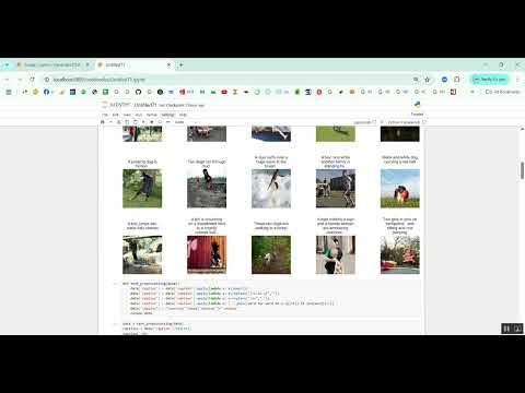 Image Caption Generation CNN LSTM Fin Tuning in Python Projects