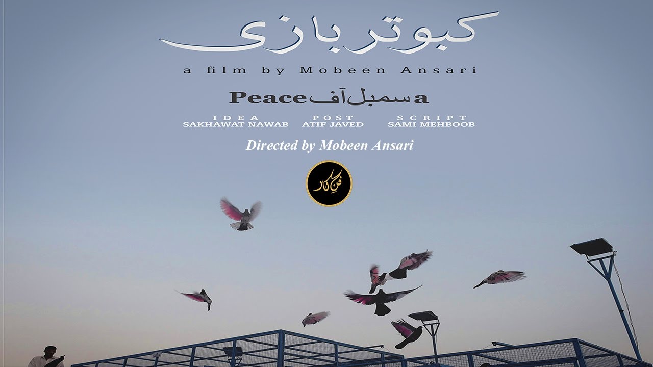 Kabootar Baazi | Ustad Amir Tipu  | Ustad Imtiaz Hussain Chairman  | Documentary On Pigeons