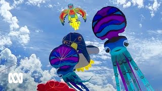 The Aussie kite flying family on a mission to relaunch Australia’s love of kites  🪁 | ABC Australia screenshot 5