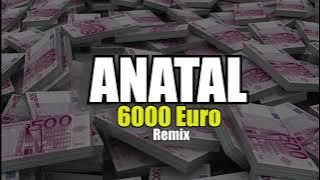 Jailoum's - 6000 Euro ( Remix ) ANATAL