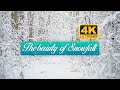 The first Snowfall in Sweden 2020 4K|The beauty of snowfall| A Relaxing video for stress-free times