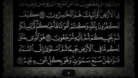 سورة البقرة بصوت القارئ الشيخ يوسف العيدروس