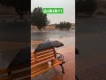 Cheb Nasro الشاب نصرو الجزائر المغرب تونس اغاني Shorts Cheb Nasro الشاب نصرو الجزائر المغرب تونس اغاني Shorts
