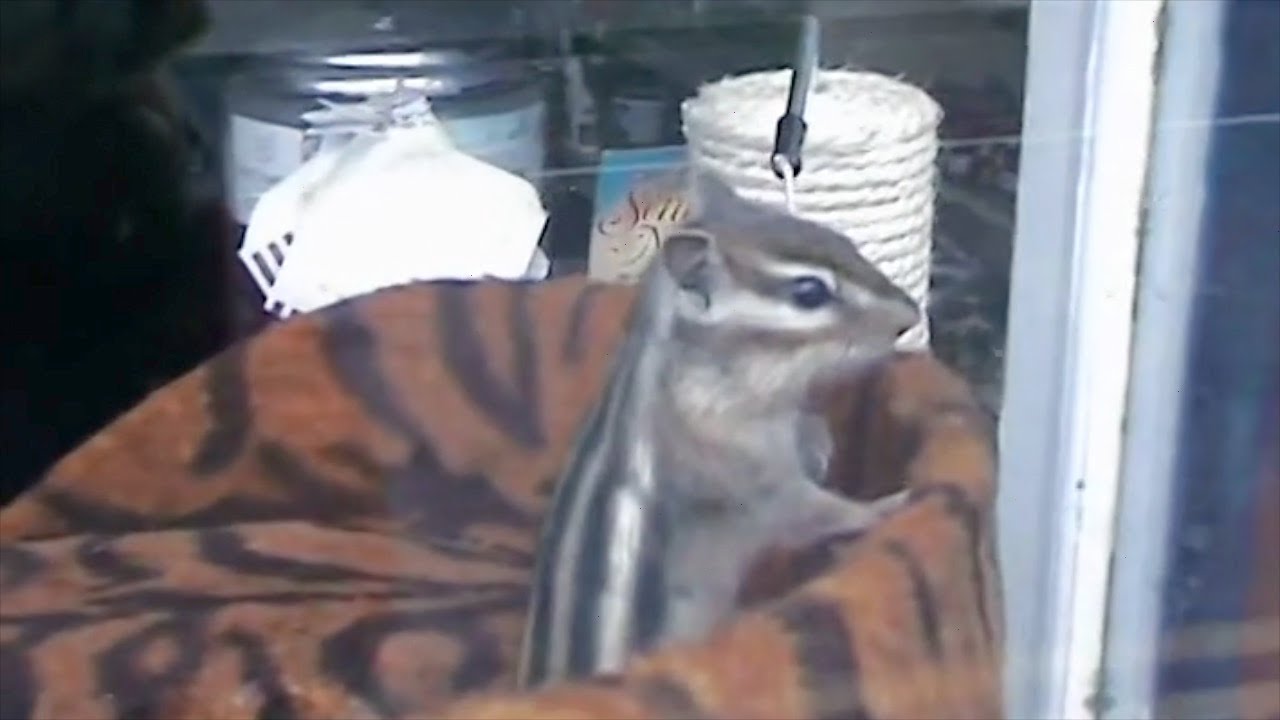 Dublin, Ireland – Travel Footage from 2009