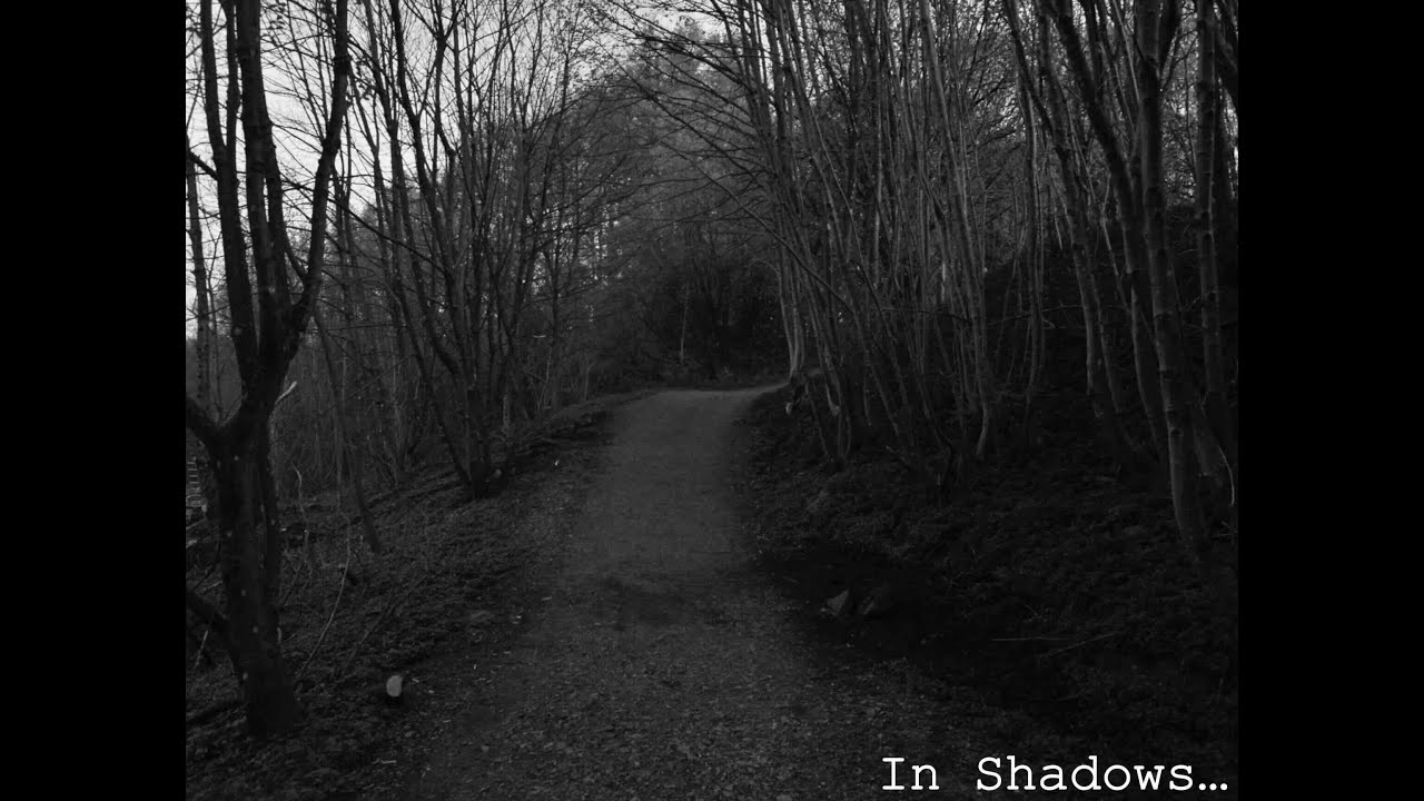 In Shadows - Dissolving into Sky (2025)