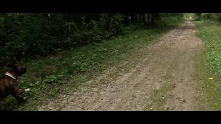 Mike Levine Trail - Jackson to Stockbridge 12.5 Miles