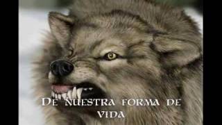 Ain&#39;t Your Fairytale - Sonata Arctica (Subtitulos Español)