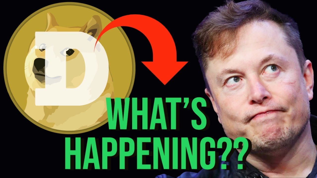 DOGECOIN CRASHING !!! LATEST DOGECOIN  NEWS & UPDATES. LATEST PRICE TARGETS!
