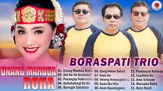 BORASPATI TRIO FULL ALBUM POPULER TERBARU 2025 || LAGU BATAK POPULER VIRAL PALING DISUKAI SAAT INI
