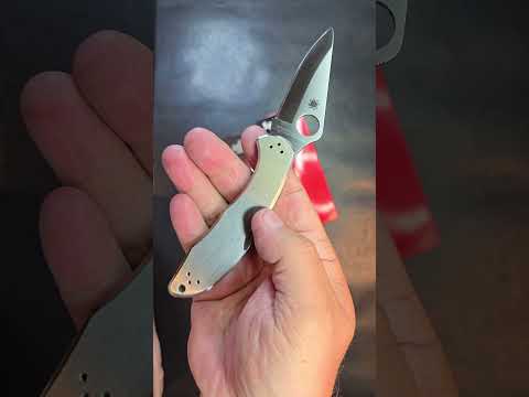 Spyderco Delica Full????soon!