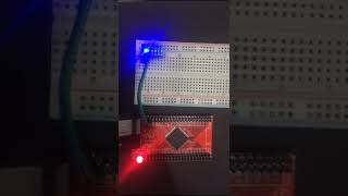 Altera CPLD LED blinking