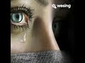 ممكن تعوفون قلبي نجومي