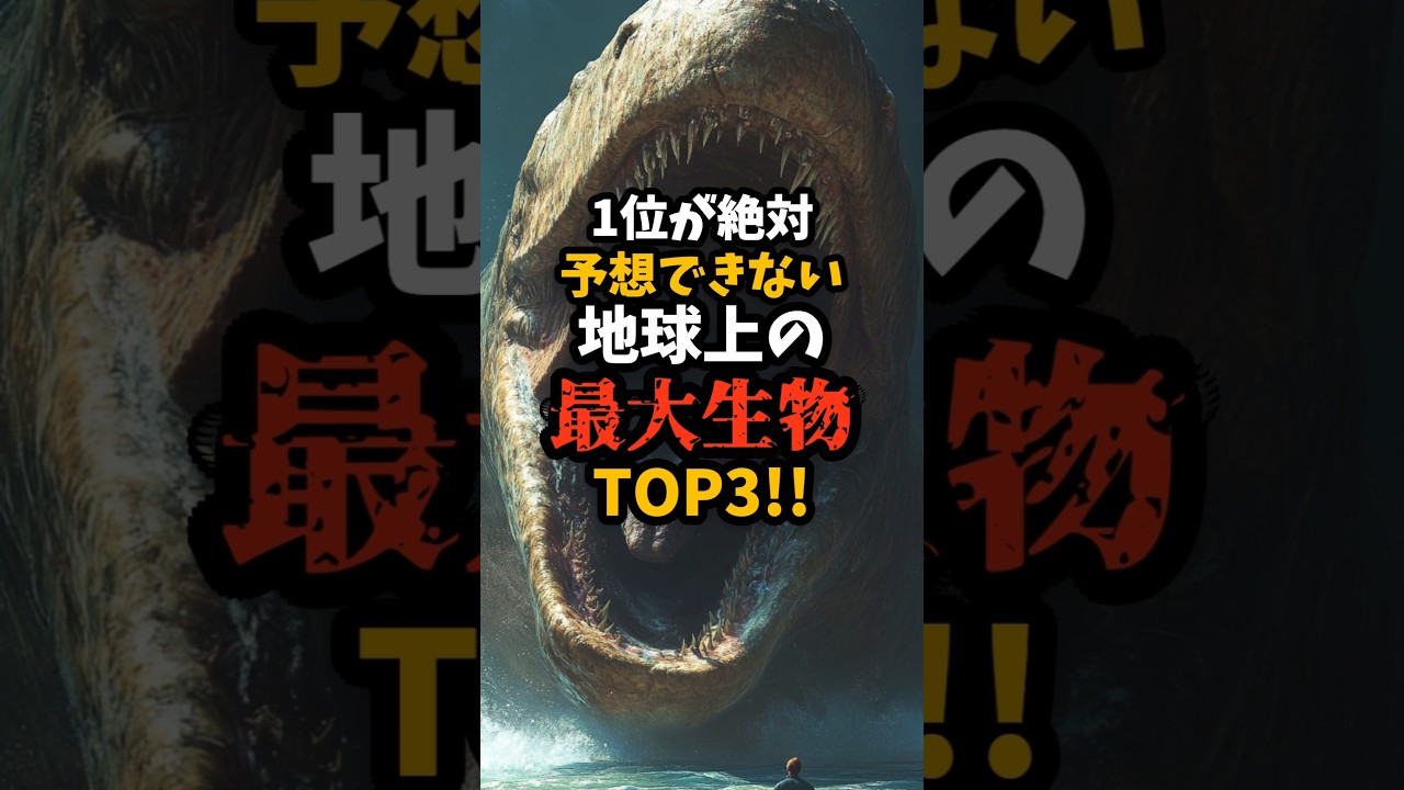 実在する地球上の最大生物TOP3