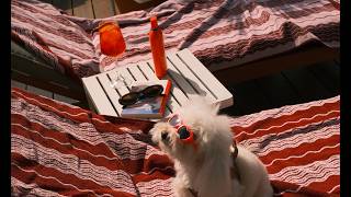Summer in the City | The Hoxton City Breaks 2026 | Boutique Hotels Across Europe &amp; Beyond