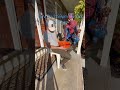 POV: It’s 11:59pm On Halloween #shorts #halloween #funny #trickortreating #spiderman