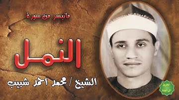 الشيخ / محمد احمد شبيب / ماتيسر من سورة النمل