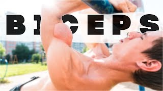 HUGE BICEPS. BEST BODYWEIGHT EXERCISES!