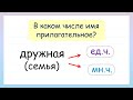 В каком числе имя прилагательное? Число имен прилагательных