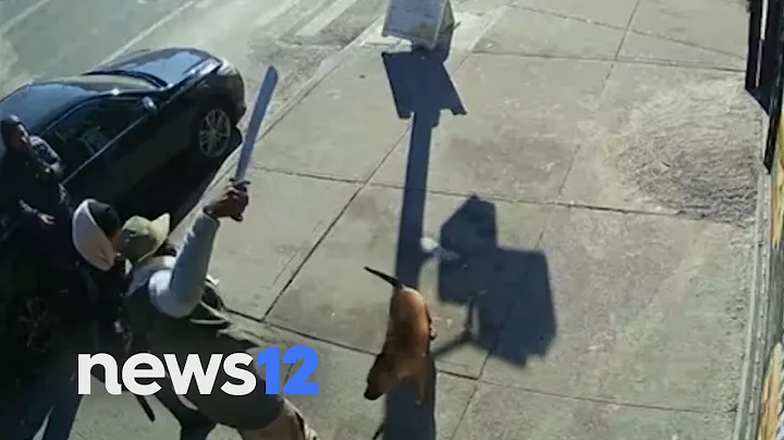 Bronx man attacked with machete over victim's dog barking, according to police | News 12