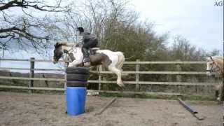 JUMPING RECORD 4FT !!!!(1m20)