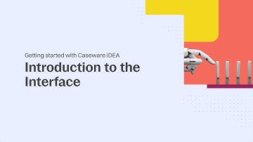 Getting Started with Caseware IDEA 01- Introduction to the Interface