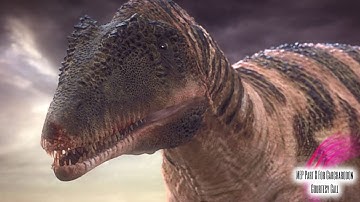 MEP Part 8 For Carcharodon // Courtesy Call