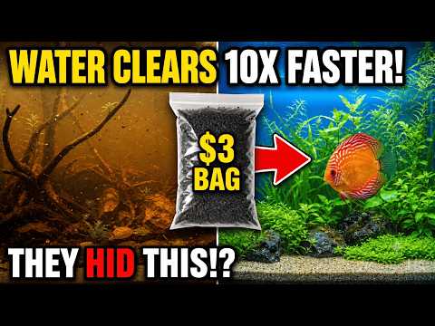 The $3 Walmart Bag That Turns Your Aquarium Crystal Clear Overnight