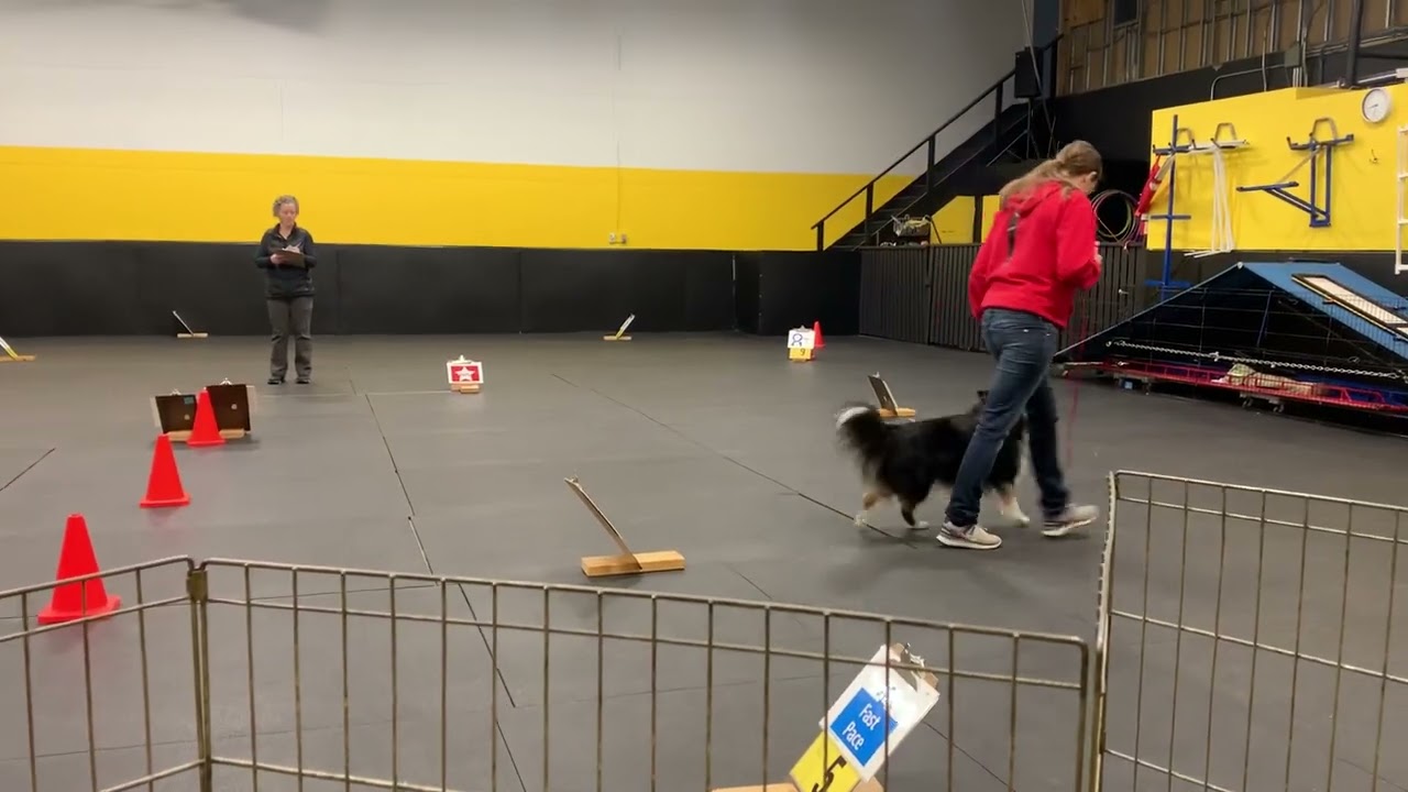 WCRL CynoSport Rally Obedience Level One