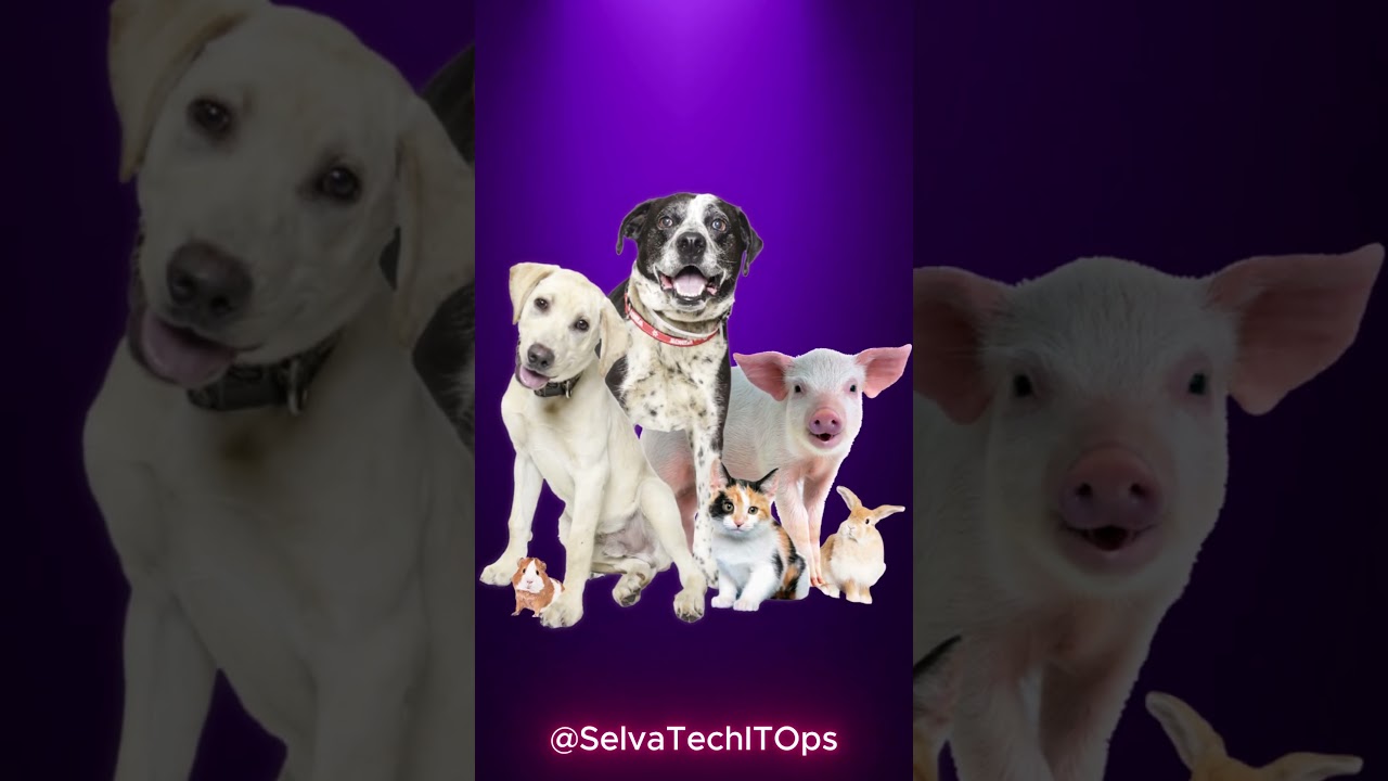 AI vs ML vs DL Explained in Tamil with Real Examples 