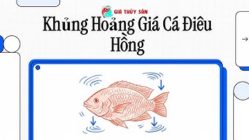 🐟 GIÁ CÁ GIẢM HƠN 20.000Đ/KG: NGƯỜI NUÔI ĐIÊU HỒNG LỒNG BÈ TÌM HƯỚNG ĐI... #PODCAST @carophivietnam​