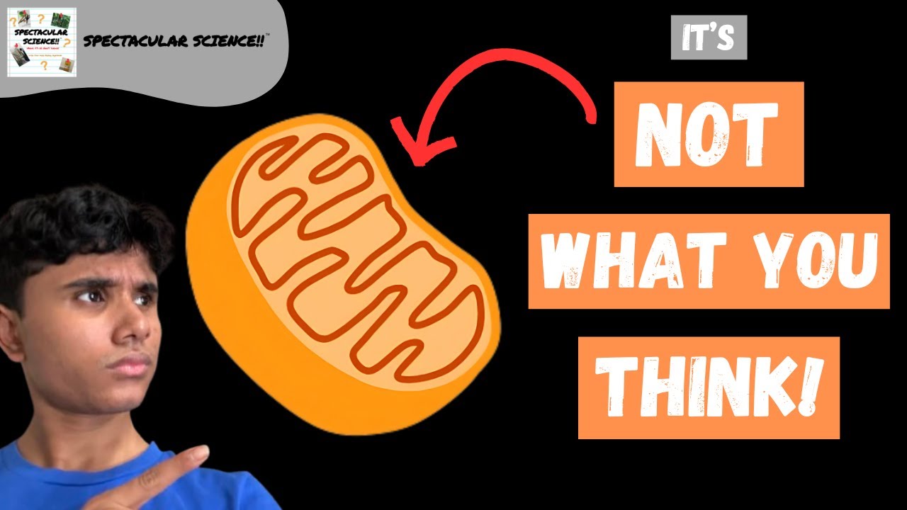 Mitochondria It's Not What You Think! Spectacular Science Ep. 187