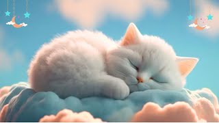 Relaxing Music for Cats (LIVE 24/7) Peaceful Piano Music with Cat Purring Sounds|Sleepy Cat  EP 138