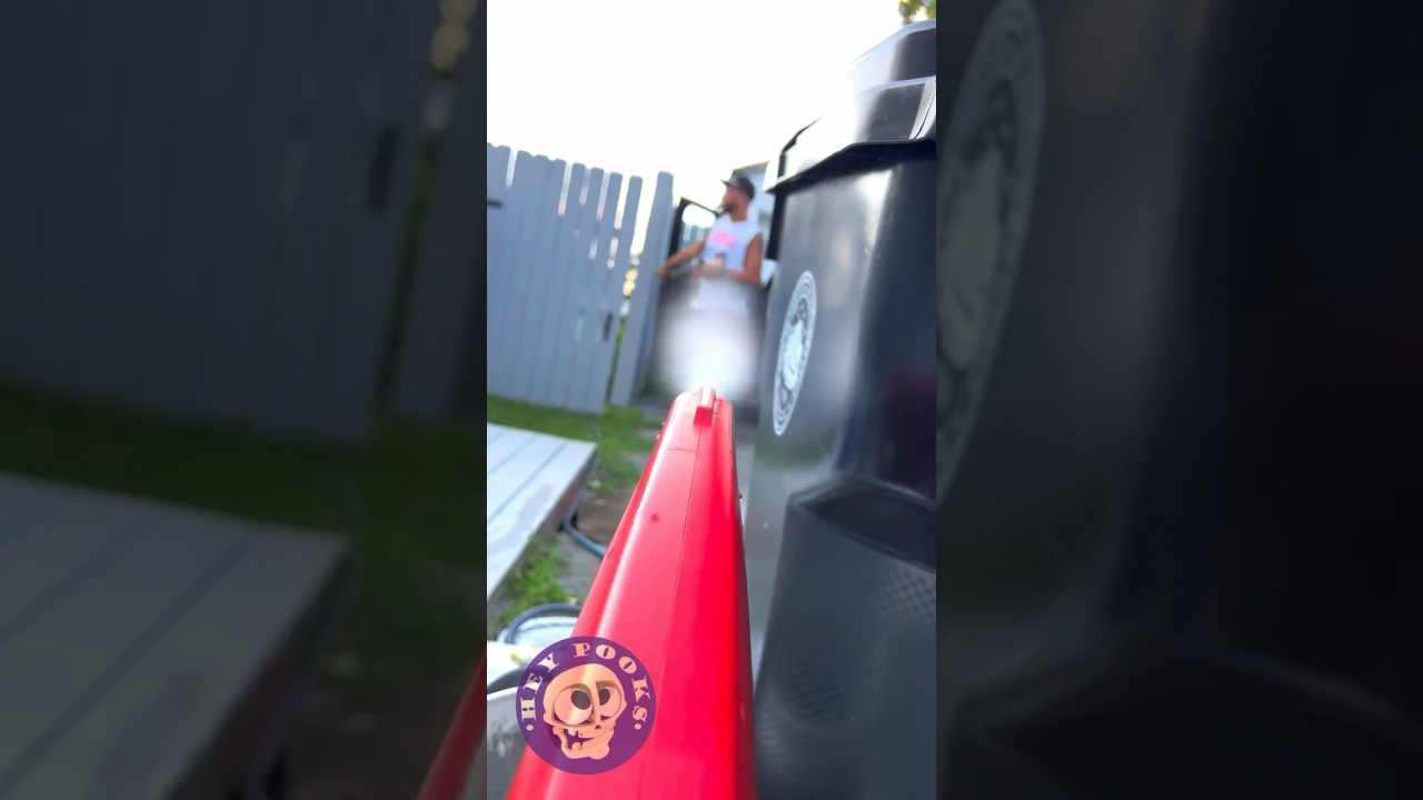 Pooks hid by the garbage can for awhile! 