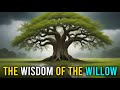 The Wisdom of the Willow: A Tale of Resilience and Adaptability - Zen Story