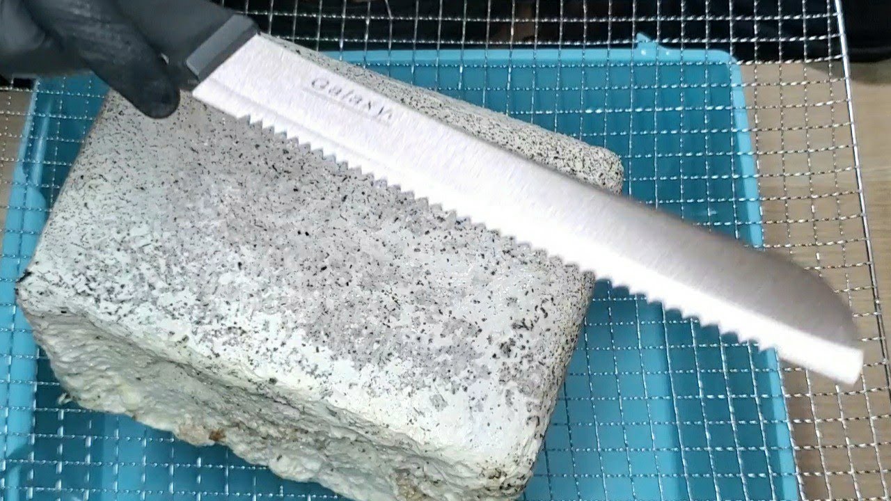 この白い塊、詰めてたら辛くなりました。(楽しかった)