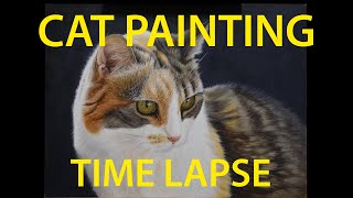 Cat Painting Time Lapse
